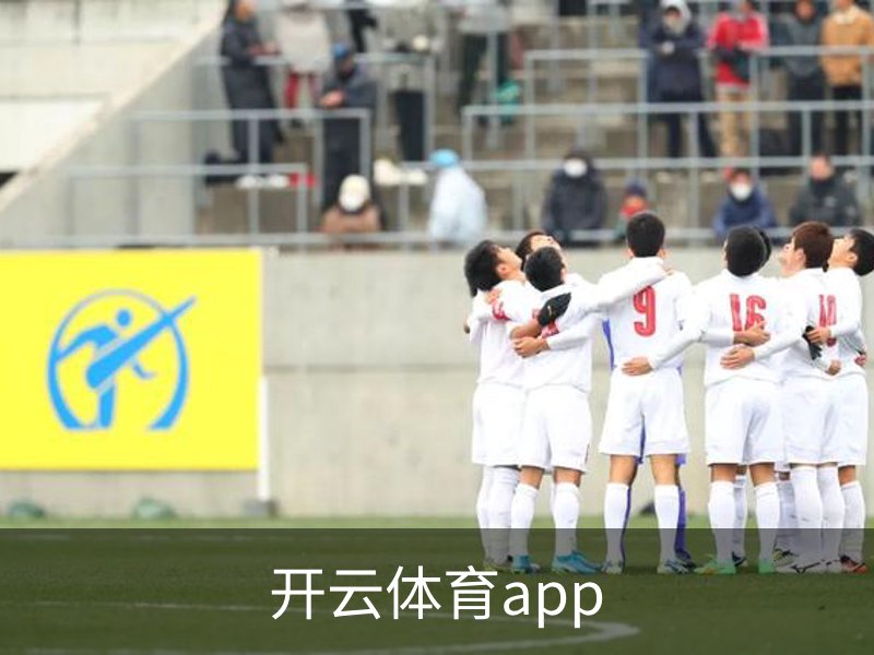 开云体育app概况
